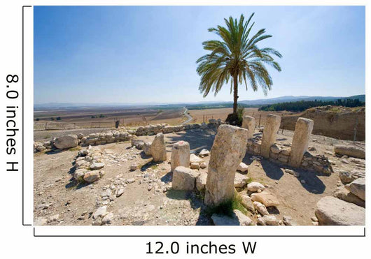 Tel Megiddo National park Wall Decal