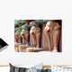 Portrait Elephants Wall Decal