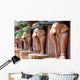 Portrait Elephants Wall Decal