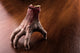 Bloody hand stands on the table Wall Decal
