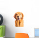 Golden Retriever Dog Wall Decal