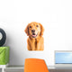 Golden Retriever Dog Wall Decal