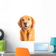 Golden Retriever Dog Wall Decal