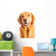 Golden Retriever Dog Wall Decal