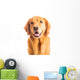 Golden Retriever Dog Wall Decal