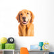 Golden Retriever Dog Wall Decal