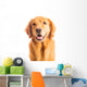 Golden Retriever Dog Wall Decal