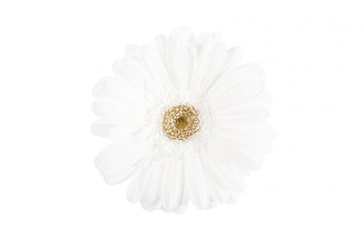 White on white Wall Decal