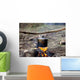 Cooking in sooty cauldron on campfire Wall Decal