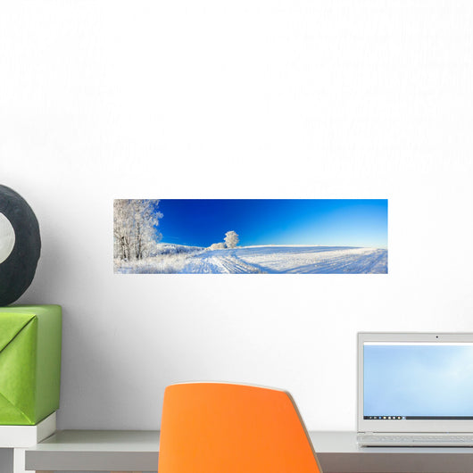rural winter landscape a panorama with the blue sky, a field and Wall Decal
