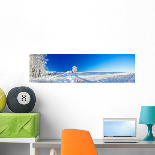 rural winter landscape a panorama with the blue sky, a field and Wall Decal