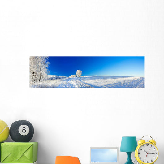 rural winter landscape a panorama with the blue sky, a field and Wall Decal