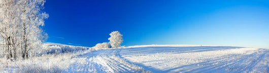 rural winter landscape a panorama with the blue sky, a field and Wall Decal