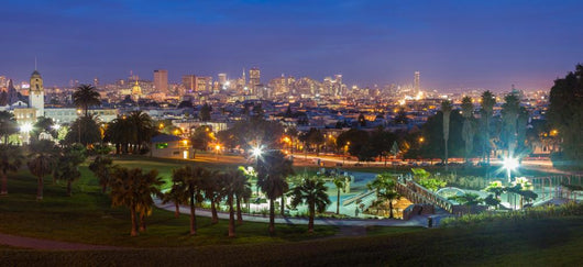 Dolores Park Night Wall Decal