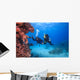 Diver Red Sea Egypt Wall Decal