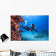 Diver Red Sea Egypt Wall Decal