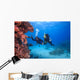 Diver Red Sea Egypt Wall Decal