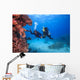 Diver Red Sea Egypt Wall Decal