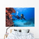 Diver Red Sea Egypt Wall Decal