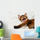 Yawning kitten portrait Wall Decal