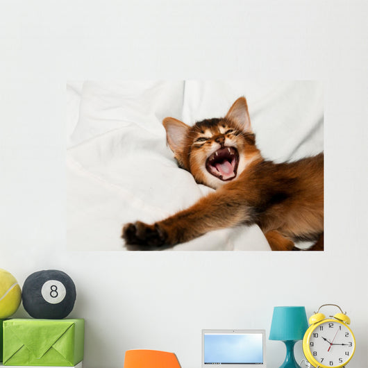 Yawning kitten portrait Wall Decal