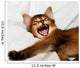 Yawning kitten portrait Wall Decal