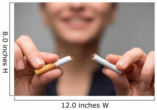Addiction. Closeup of young attractive woman breaking cigarettes Wall Decal