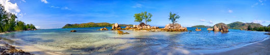 Tropical Beach Panorama Praslin Wall Decal