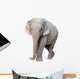 asia elephant Wall Decal