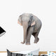 asia elephant Wall Decal