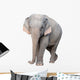 asia elephant Wall Decal