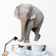 asia elephant Wall Decal