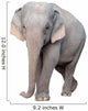 asia elephant Wall Decal