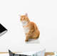Beautiful Orange Cat Wall Decal