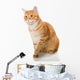 Beautiful Orange Cat Wall Decal