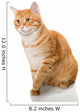 Beautiful Orange Cat Wall Decal