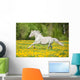 Beautiful White Horse Running Wall Decal
