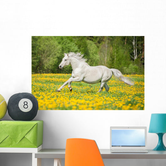 Oedim Photo Wall Stickers | Running Horses | 200 X 150 Cm | Adhesive Vinyl Sticker Wall Background