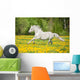 Beautiful White Horse Running Wall Decal