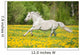 Beautiful White Horse Running Wall Decal