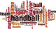 Handball word cloud Wall Decal