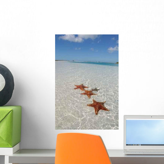 Sea Star Paradise Beach Wall Decal