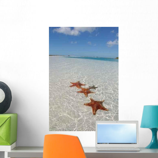 Sea Star Paradise Beach Wall Decal