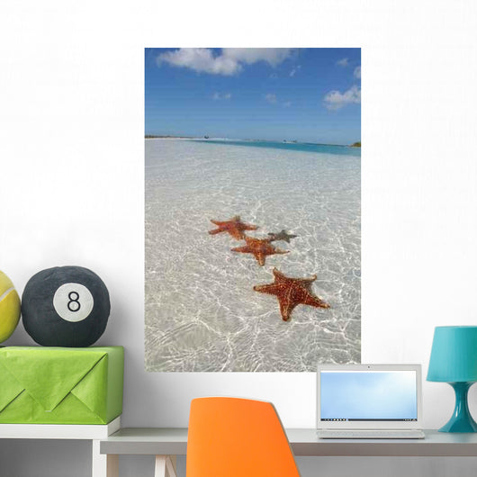 Sea Star Paradise Beach Wall Decal