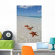 Sea Star Paradise Beach Wall Decal