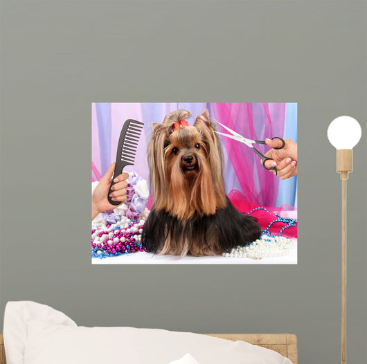 Yorkshire terrier grooming at the salon for dogs Wall Decal