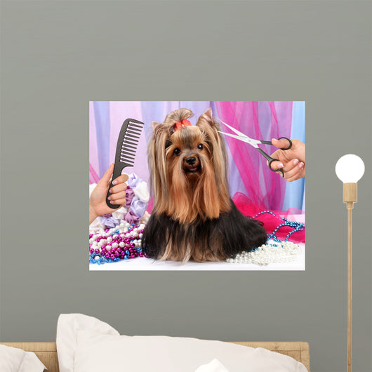 Yorkshire terrier grooming at the salon for dogs Wall Decal