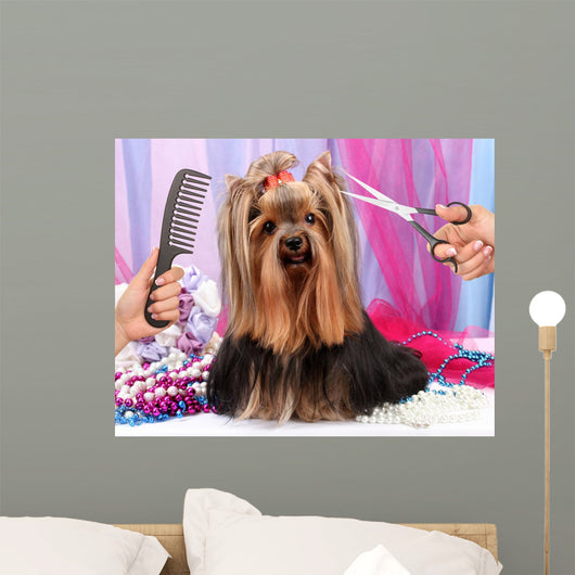 Yorkshire terrier grooming at the salon for dogs Wall Decal