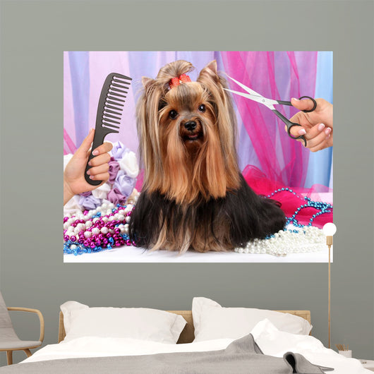 Yorkshire terrier grooming at the salon for dogs Wall Decal