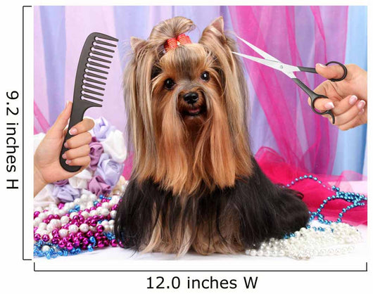 Yorkshire terrier grooming at the salon for dogs Wall Decal